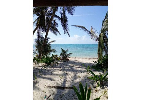 Działka na sprzedaż - Soliman Bay, Tankah 4, Quintana Roo, Mexico, Tankah Cuatro, Quintana R Soliman/tankah Bay, Meksyk, 1781,32 m², 3 250 000 USD (13 227 500 PLN), NET-102983019