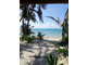 Działka na sprzedaż - Soliman Bay, Tankah 4, Quintana Roo, Mexico, Tankah Cuatro, Quintana R Soliman/tankah Bay, Meksyk, 1781,32 m², 3 250 000 USD (13 227 500 PLN), NET-102983019