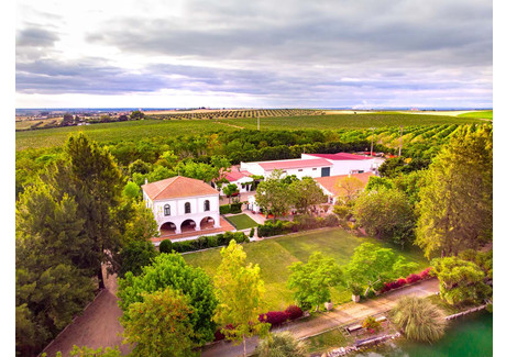 Działka na sprzedaż - Ferreira Do Alentejo, Portugalia, 184 413 m², 3 263 029 USD (12 562 661 PLN), NET-99812624