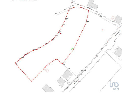 Działka na sprzedaż - Santo Isidoro, Portugalia, 4200 m², 63 468 USD (260 219 PLN), NET-102586884