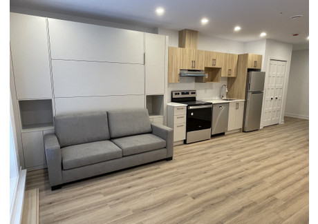 Mieszkanie do wynajęcia - 6170 Rue Vanier, Montréal, Québec H4K 1A5, CA Montréal, Kanada, 47 m², 977 USD (3976 PLN), NET-101279830