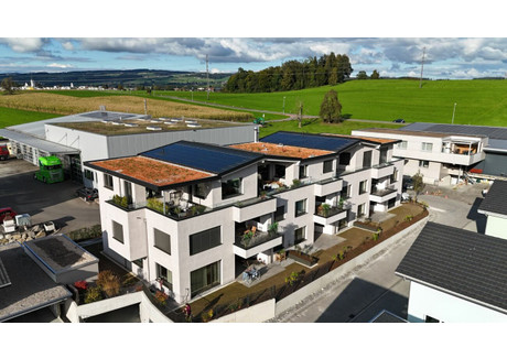 Mieszkanie na sprzedaż - Ligschwil Hochdorf, Szwajcaria, 92 m², 881 500 USD (3 587 704 PLN), NET-101377707