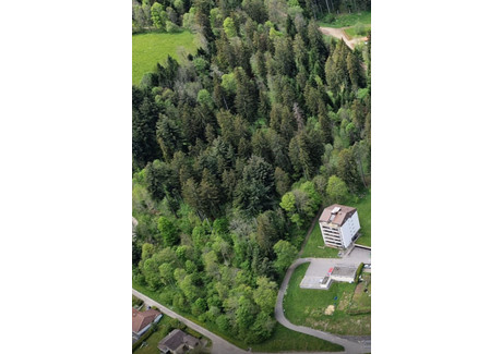 Mieszkanie na sprzedaż - Chemin Bois-Soleil A Les Hauts-Geneveys, Szwajcaria, 94 m², 511 877 USD (2 083 340 PLN), NET-103049290