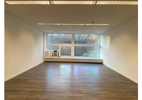 Biuro do wynajęcia - Steigstrasse Winterthur, Szwajcaria, 132 m², 1908 USD (7766 PLN), NET-101184424