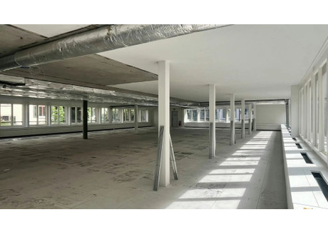 Biuro do wynajęcia - Bellerivestrasse Zurich, Szwajcaria, 587 m², 28 650 USD (117 177 PLN), NET-101184694