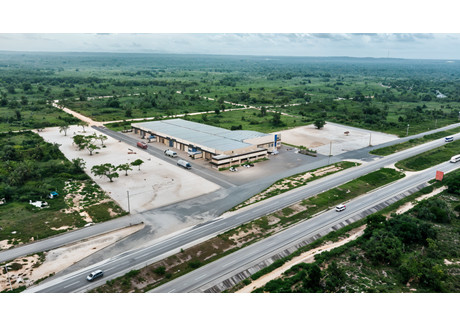 Magazyn na sprzedaż - Autopista del Coral Punta Cana, Dominikana, 730 m², 701 680 USD (2 911 972 PLN), NET-102720933