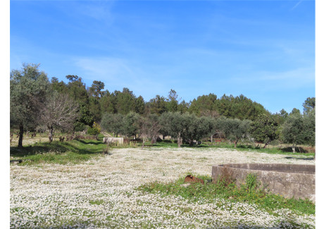 Działka na sprzedaż - Fundão, Castelo Branco, Portugalia, 39 000 m², 134 835 USD (559 566 PLN), NET-102514129