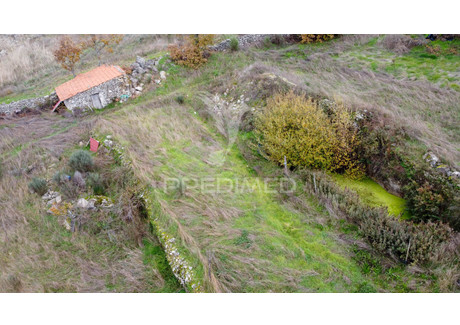 Działka na sprzedaż - Aveloso Meda, Portugalia, 9363 m², 4757 USD (19 503 PLN), NET-102773564