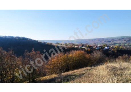 Działka na sprzedaż - с. Пушево/s. Pushevo Велико Търново/veliko-Tarnovo, Bułgaria, 7000 m², 91 480 USD (382 388 PLN), NET-76643946