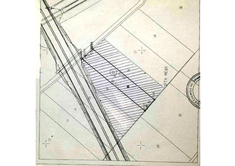 Działka na sprzedaż - с. Коларово, Автомагистрала Тракия /s. Kolarovo, Avtomagistrala Trakia Стара Загора/stara-Zagora, Bułgaria, 15 000 m², 98 015 USD (409 701 PLN), NET-62658755