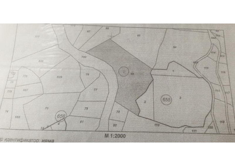 Działka na sprzedaż - к.к. Пампорово/k.k. Pamporovo Смолян/smolian, Bułgaria, 5562 m², 152 467 USD (637 313 PLN), NET-68771223