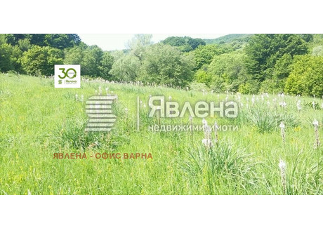 Działka na sprzedaż - с. Сушина/s. Sushina Шумен/shumen, Bułgaria, 53 000 m², 292 214 USD (1 142 556 PLN), NET-101074188