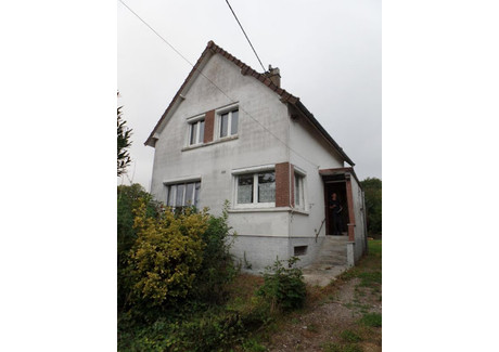 Dom na sprzedaż - Méneslies, Francja, 90 m², 155 780 USD (602 868 PLN), NET-100511077