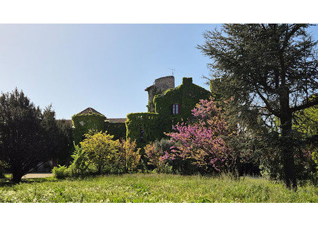 Dom na sprzedaż - Avignon, Francja, 580 m², 1 385 650 USD (5 307 041 PLN), NET-100796975