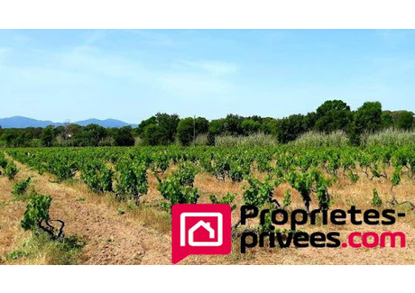 Dom na sprzedaż - Vidauban, Francja, 226 m², 934 856 USD (3 832 911 PLN), NET-102943269