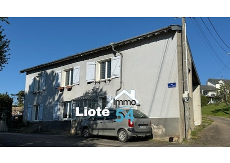 Dom na sprzedaż - Gripport, Francja, 116 m², 178 808 USD (686 622 PLN), NET-100776357