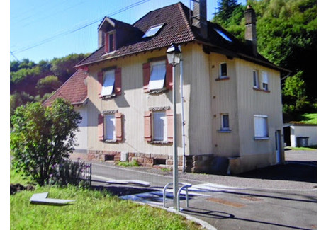 Dom na sprzedaż - Senones, Francja, 148 m², 122 938 USD (504 048 PLN), NET-102952325