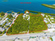 Dom na sprzedaż - 6200 Overseas Highway Marathon, Usa, 487 m², 7 900 000 USD (30 257 000 PLN), NET-100085001