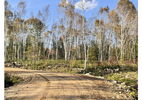 Działka na sprzedaż - Vieille route 11, Lac-Saguay, QC J0W1L0, CA Lac-Saguay, Kanada, 3717 m², 28 959 USD (117 864 PLN), NET-101216369