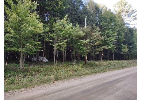 Działka na sprzedaż - 4 Ch. du Flood, Lac-du-Cerf, QC J0W1S1, CA Lac-Du-Cerf, Kanada, 4029 m², 39 102 USD (159 144 PLN), NET-102679440