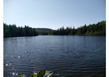 Działka na sprzedaż - 01 Ch. du Lac-d'Un-Mille, Ferland-et-Boilleau, QC J0V1H0, CA Ferland-Et-Boilleau, Kanada, 90 455 m², 140 452 USD (564 619 PLN), NET-98677108