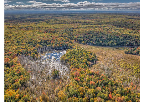 Działka na sprzedaż - Grand rg Ste-Catherine, Saint-Cuthbert, QC J0K2C0, CA Saint-Cuthbert, Kanada, 139 747 m², 79 638 USD (324 127 PLN), NET-101063110