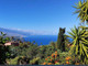 Mieszkanie na sprzedaż - Santa Cruz De Tenerife, Hiszpania, 475 m², 1 191 679 USD (4 826 302 PLN), NET-96056959