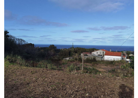 Działka na sprzedaż - Ilha Terceira, Biscoitos, Portugalia, 498 m², 52 510 USD (215 291 PLN), NET-101724675