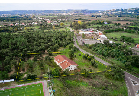 Działka na sprzedaż - Pego, Portugalia, 8000 m², 370 541 USD (1 515 512 PLN), NET-102273092