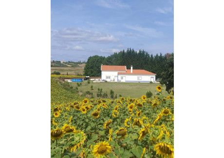 Dom na sprzedaż - Santarém, Portugalia, 295 m², 513 432 USD (2 048 594 PLN), NET-96128776