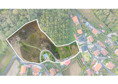 Działka na sprzedaż - Travassos, Portugalia, 10 100 m², 210 905 USD (862 601 PLN), NET-100972978