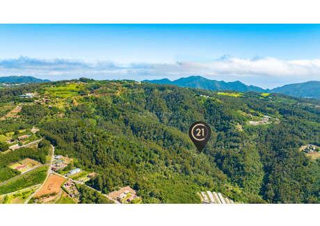 Działka na sprzedaż - Ilha Da Madeira, Santa Cruz, Portugalia, 6600 m², 69 249 USD (283 921 PLN), NET-96122416