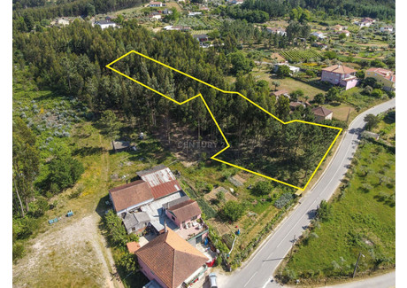 Działka na sprzedaż - Pombeiro Da Beira, Portugalia, 3310 m², 27 035 USD (112 193 PLN), NET-100847502