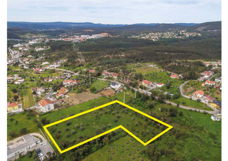 Działka na sprzedaż - Serpins, Portugalia, 9200 m², 124 580 USD (488 355 PLN), NET-96865193