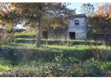 Działka na sprzedaż - Rio De Loba, Portugalia, 19 600 m², 253 068 USD (1 035 048 PLN), NET-101655619