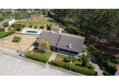 Dom na sprzedaż - São Pedro De France, Portugalia, 243,65 m², 364 640 USD (1 524 196 PLN), NET-96116761