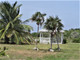 Dom na sprzedaż - 249G+QC3, Dunmore Settlement, The Bahamas Long Island, Bahamy, 222,97 m², 1 999 999 USD (8 199 996 PLN), NET-81485079