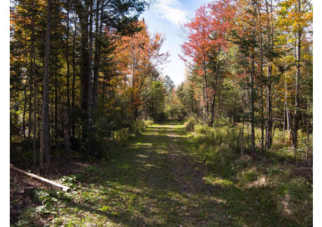 Działka na sprzedaż - 1931 Ch. Gendron, Brompton/Rock Forest/Saint-Élie/Deauville, QC J1R0J6 Brompton/rock Forest/saint-Élie/deauville, Kanada, 105 492 m², 577 074 USD (2 215 966 PLN), NET-92417089