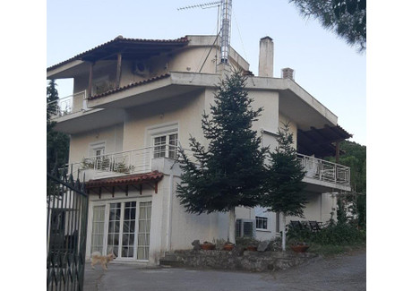 Dom na sprzedaż - Unnamed Road Livadia, Grecja, 200 m², 314 170 USD (1 237 830 PLN), NET-66438682