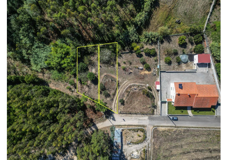 Działka na sprzedaż - Paião, Portugalia, 750 m², 31 186 USD (129 421 PLN), NET-101315271