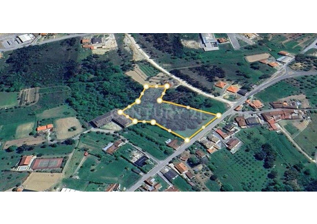 Działka na sprzedaż - Poiares (Santo André), Portugalia, 6650 m², 86 487 USD (353 730 PLN), NET-99486221