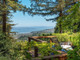 Dom na sprzedaż - 312 Summit Drive Corte Madera, Usa, 269,42 m², 2 795 000 USD (11 263 850 PLN), NET-96680315